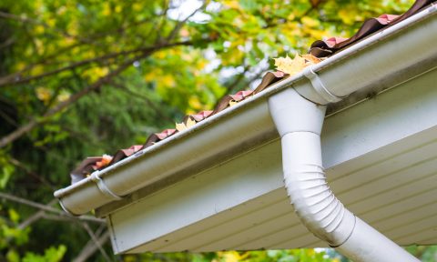 Gutter Cleaning West Auckland