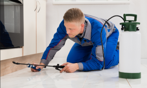 pest control Sydney