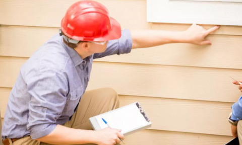 Pest and building inspection Brisbane