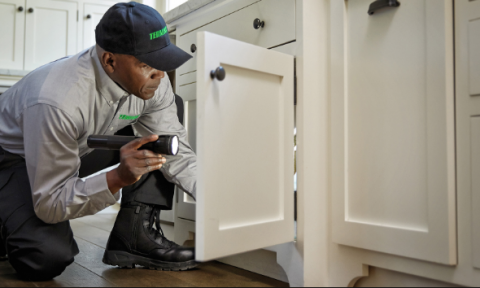 pest inspection Gold Coast