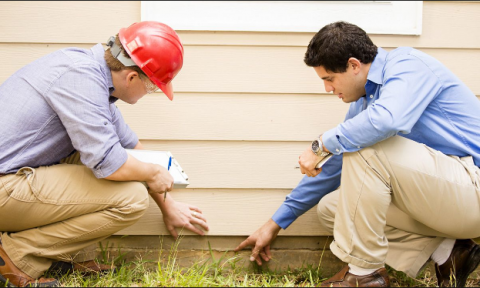 pre purchase termite inspection Sunshine Coast