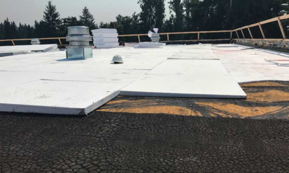 graphite EPS insulation