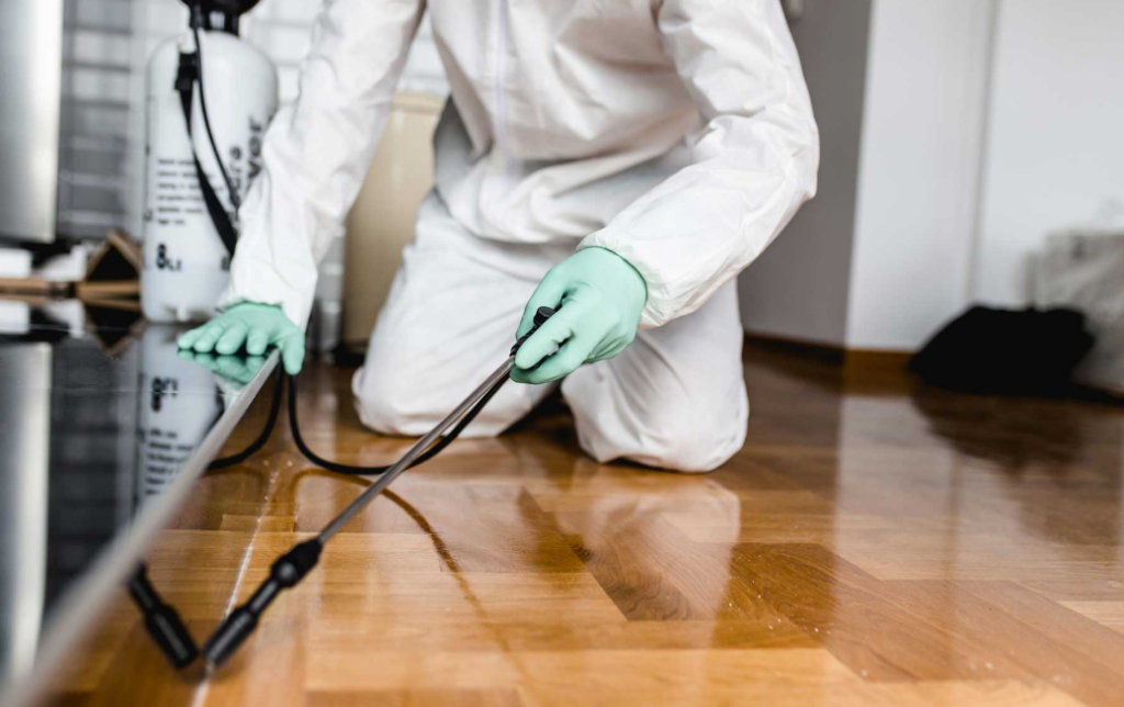 pest control services in Kings Cliff