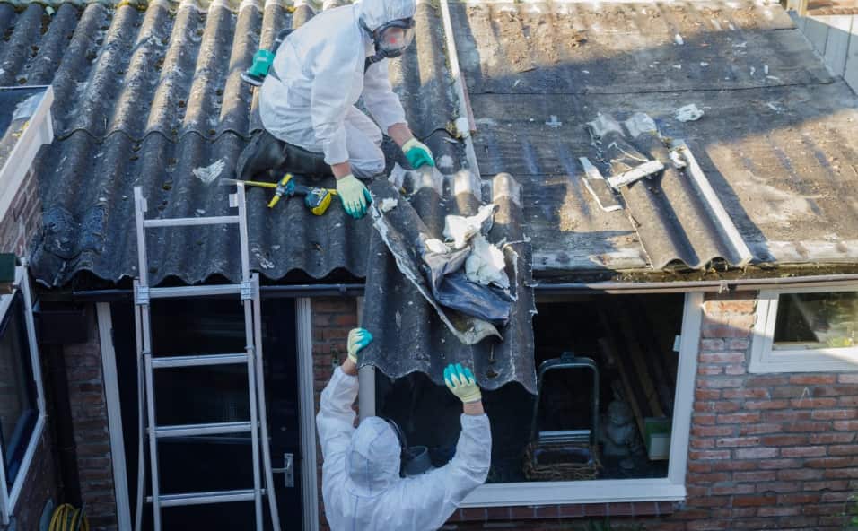 asbestos removal expert